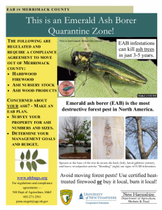 emerald-ash-poster