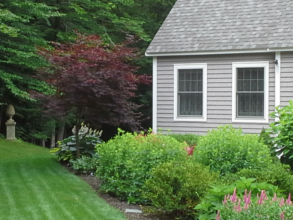 landscape gallery strafford nh - Plantings around a house.