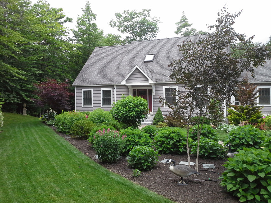 landscape gallery strafford nh Front yard with tree and shrubs