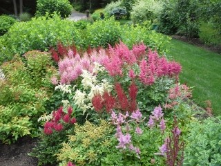 landscape gallery strafford nh  - Pink and Red Flowers front yard