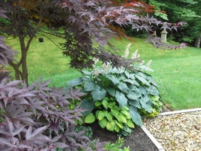 landscape gallery strafford nh Side yard planting and rocks