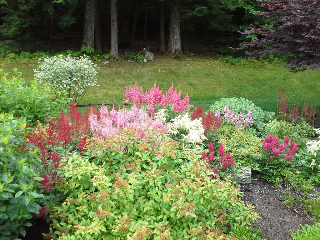 landscape gallery strafford nh - Colorful plantings in front yard