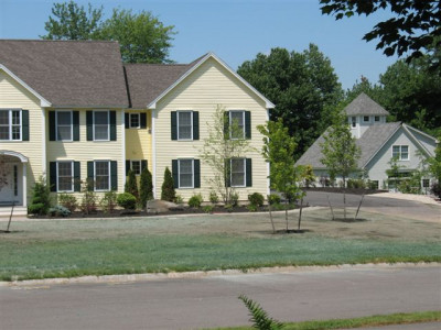 New Front Lawn with new Trees