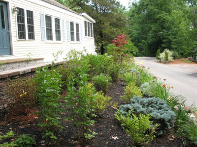 Planting Perennials front of house