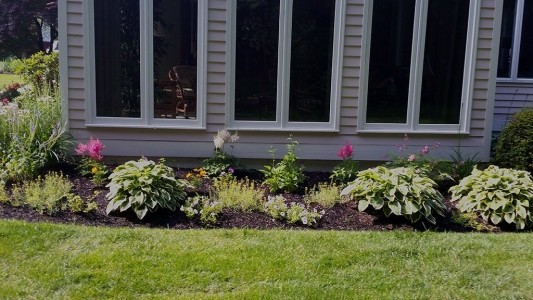 Landscape Front Yard Flower Bed - Pink and some yellow flowers