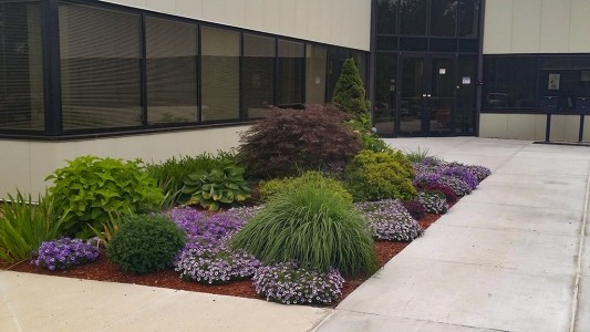 Flow plantings along entrance to a commercial building in Portsmouth, NH