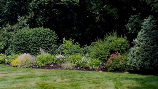 Elf's Landscaping Side Yard Planting